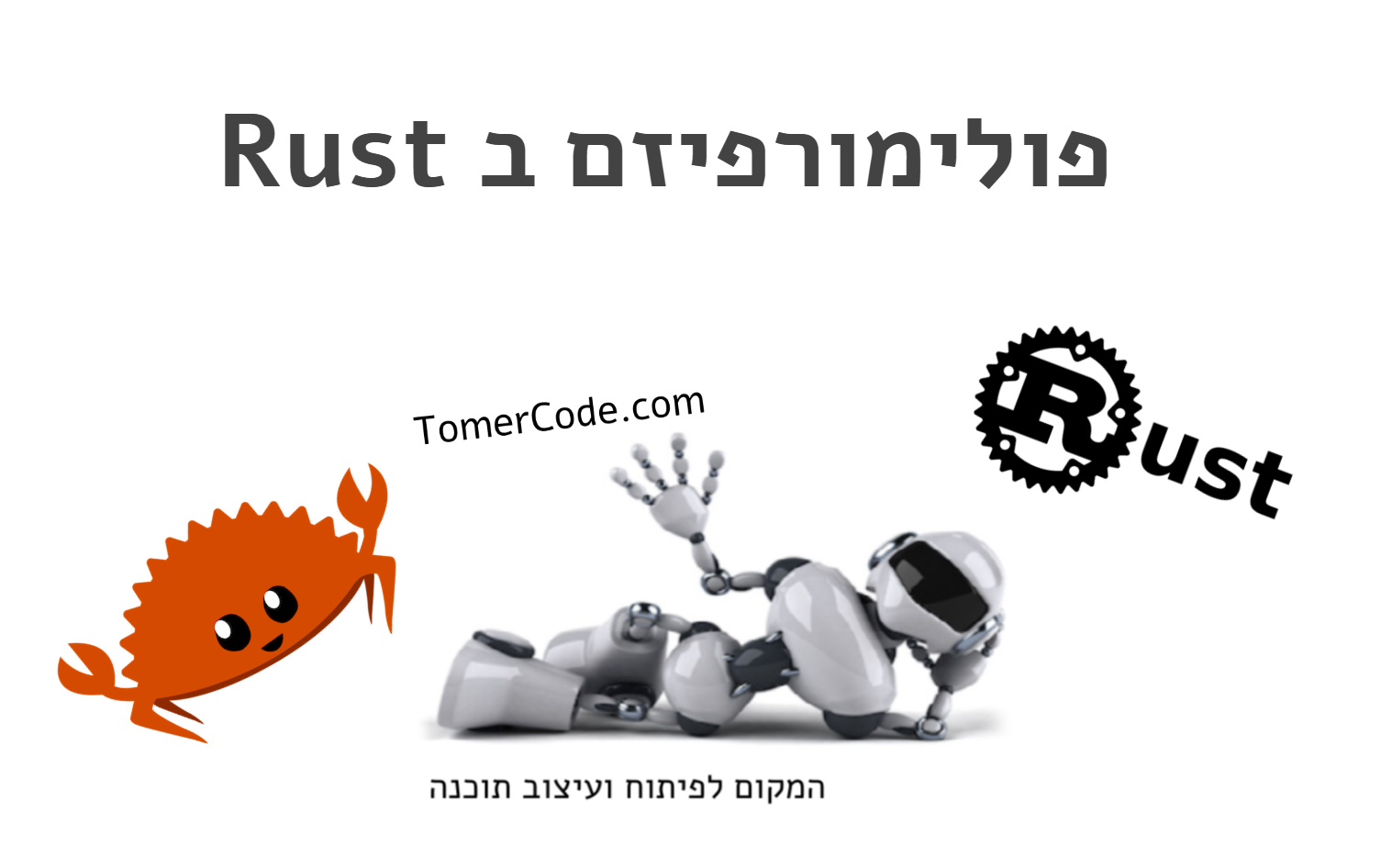 פולימורפיזם ב Rust
